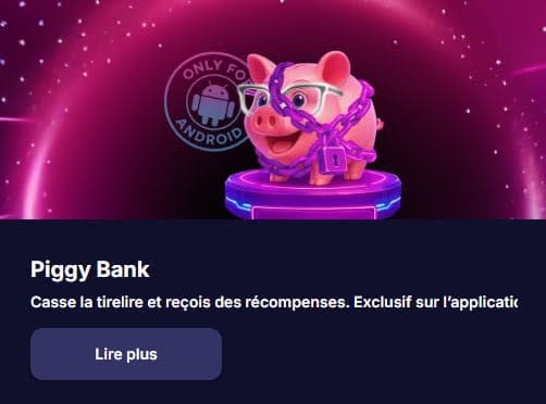 NV Casino Piggy Bank